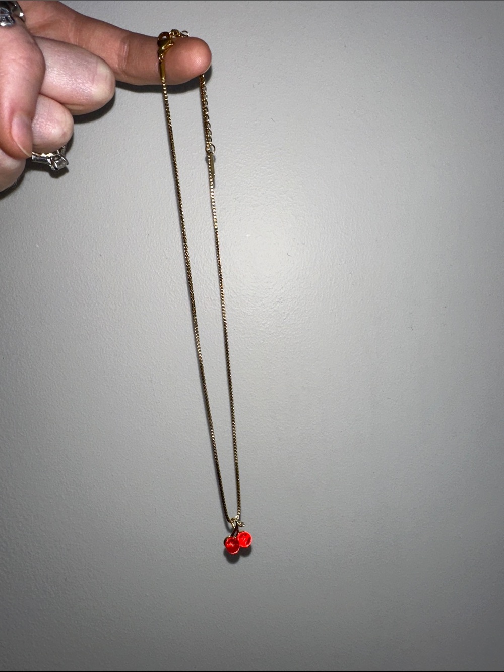 NWT Solarié cherry necklace